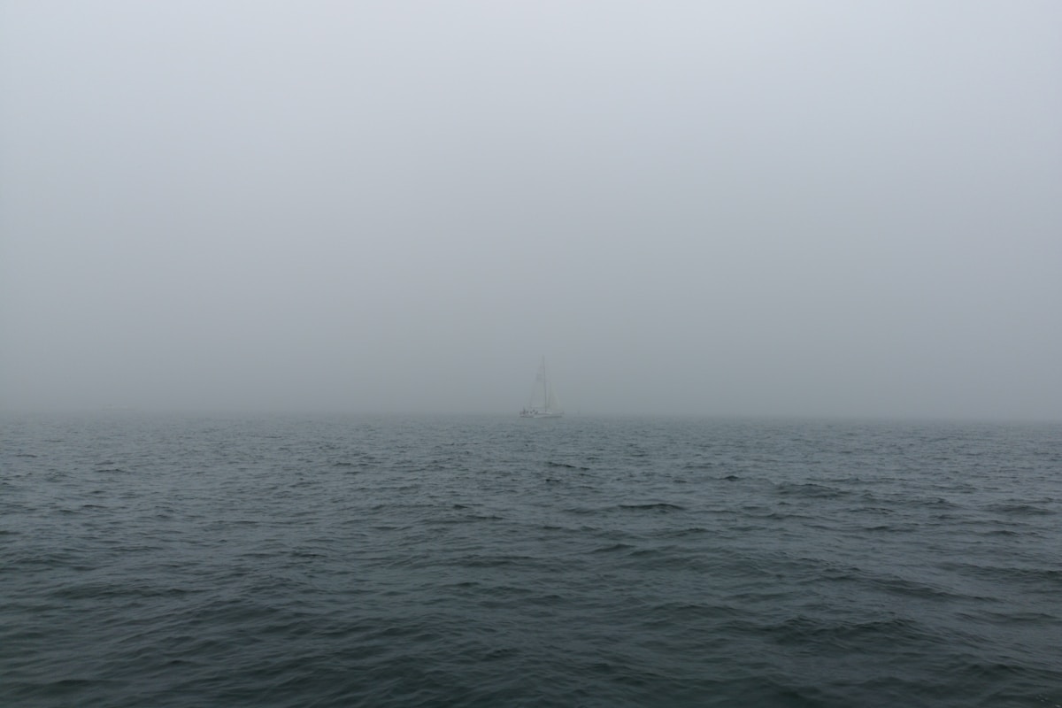 Boost Your Online Visibility